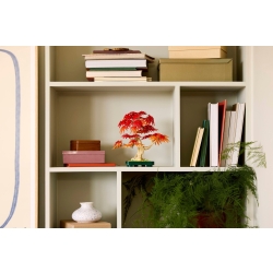 Klocki LEGO 10348 Klon palmowy bonsai BOTANICAL COLLECTION